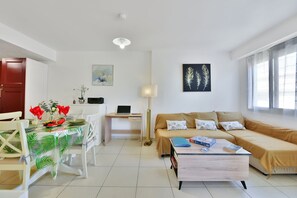 TV, DVD player, stereo - Eden Blue Wilson - Appt climatisé proche plage à Juan les Pins (Antibes)