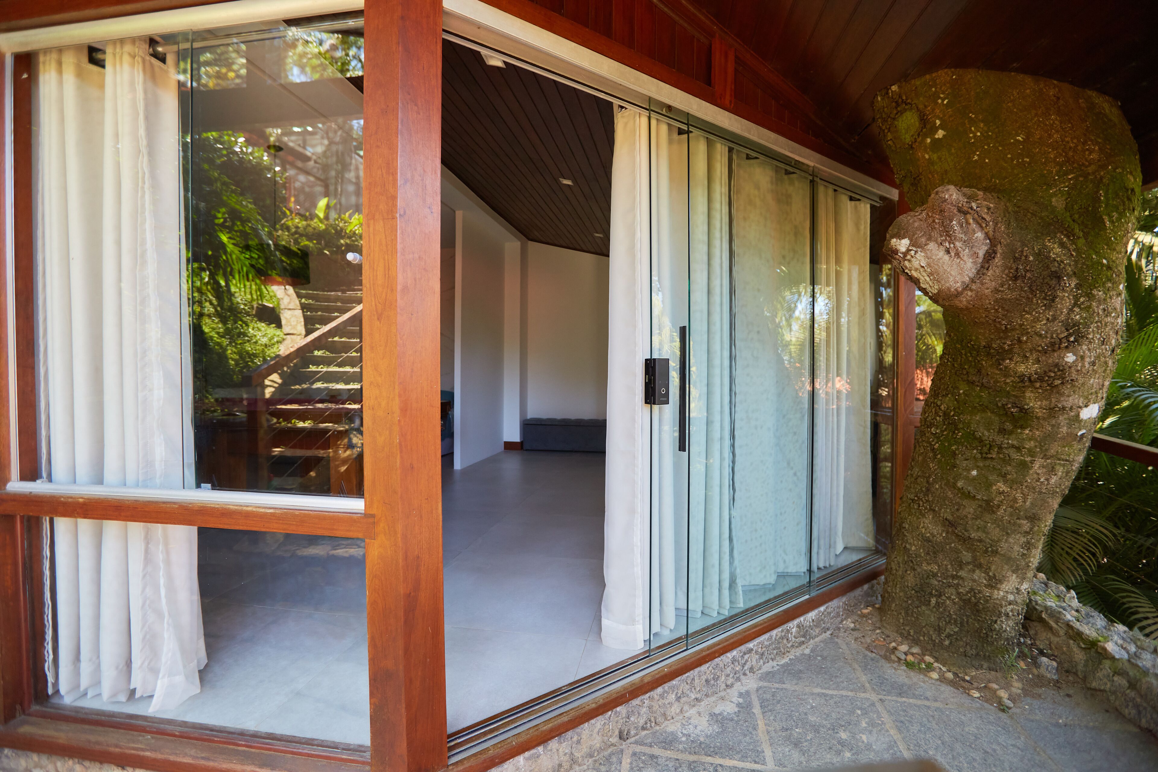 A modern interior with a glass door leading to a staircase, a stone wall, and a large tree trunk.