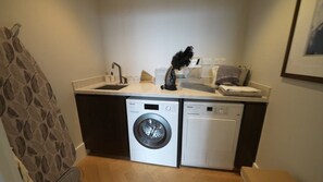 Convenient laundry facilities with washer and dryer, sink, and storage for essentials.