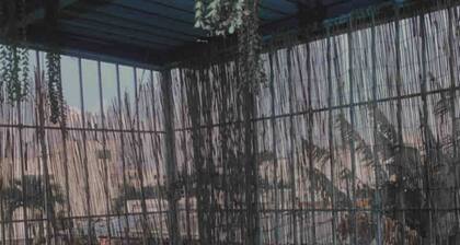 Quiet accommodation 15 minutes away from the airport. Apartment 1