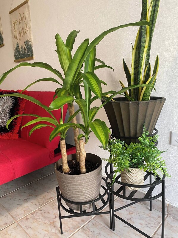 A living room with a red sofa, two potted plants on a black metal stand, and a wall with a motivational poster. - Quiet accommodation 15 minutes away from the airport. Apartment 1 (Trujillo Alto)