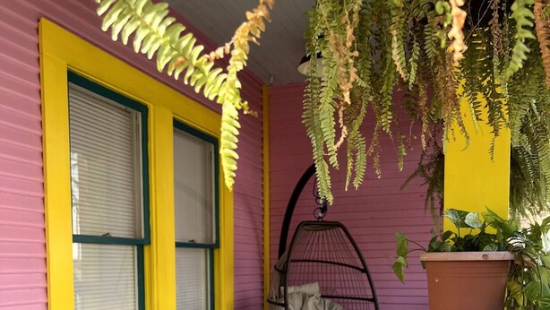 A pink and yellow room with two windows, a hanging chair, and a potted plant. - The Big Pink
 (Nacogdoches)
