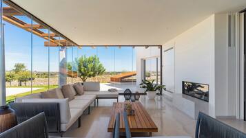 TV, caminetto, impianto stereo