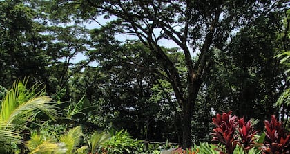 Feeling Trees Jungle Lodge- Casa Peces-