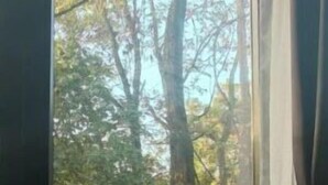 1 غرفة نوم وملاءات أسرّة