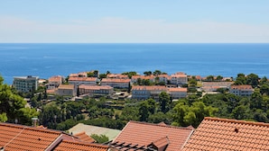 Unclassified image, 2 of 29, button - Hedera Estate, Hedera A43 (Dubrovnik)