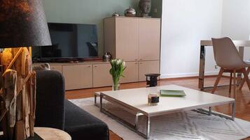 Télévision, lecteur de DVD, livres