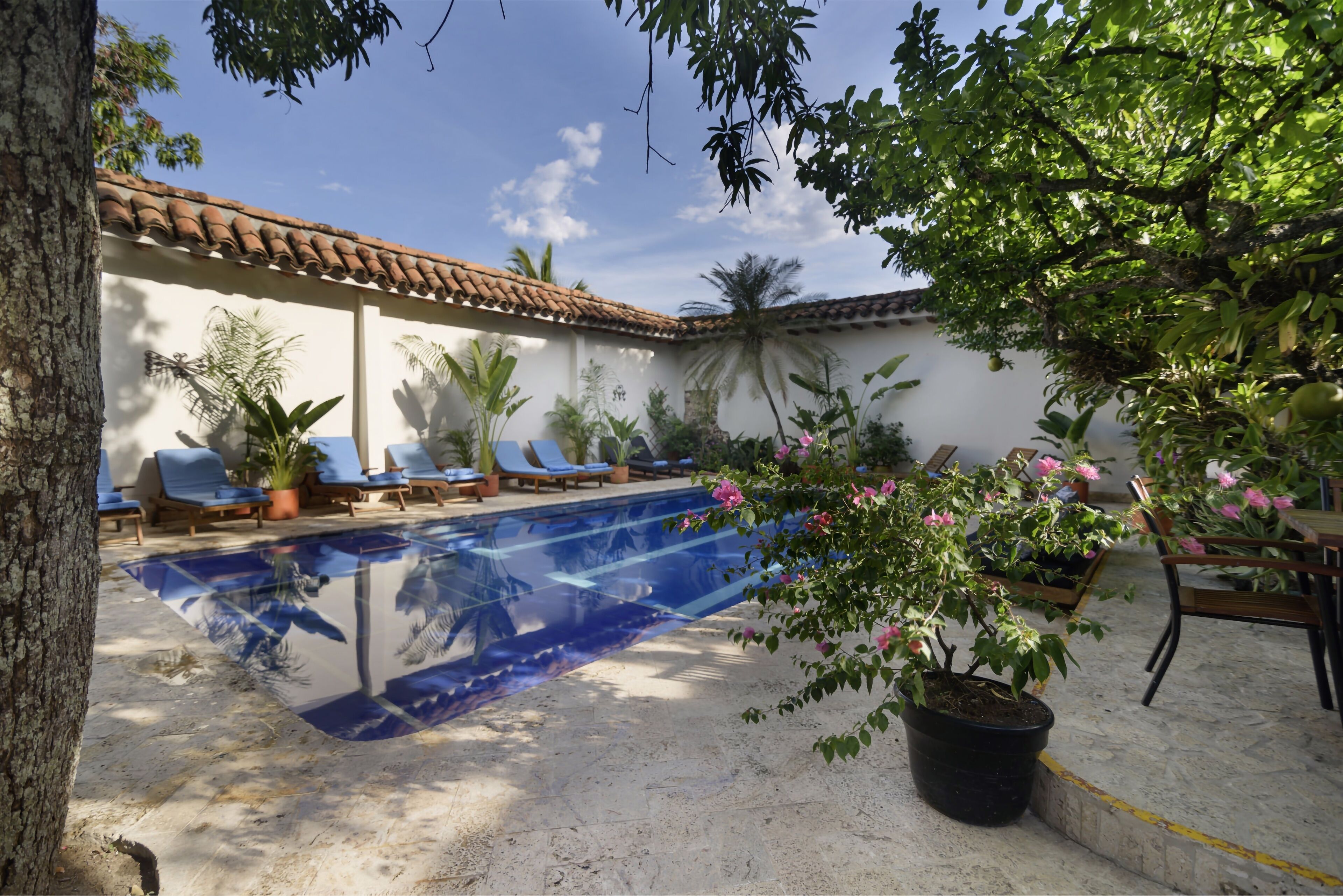 Kolam renang outdoor