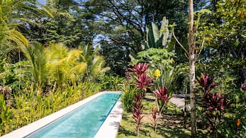 Una piscina rodeada de exuberante vegetación tropical.