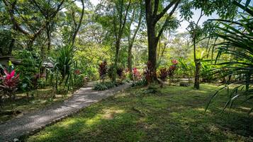 A garden path surrounded by lush greenery and trees.