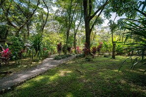 Um caminho no jardim cercado por vegetação exuberante e árvores.