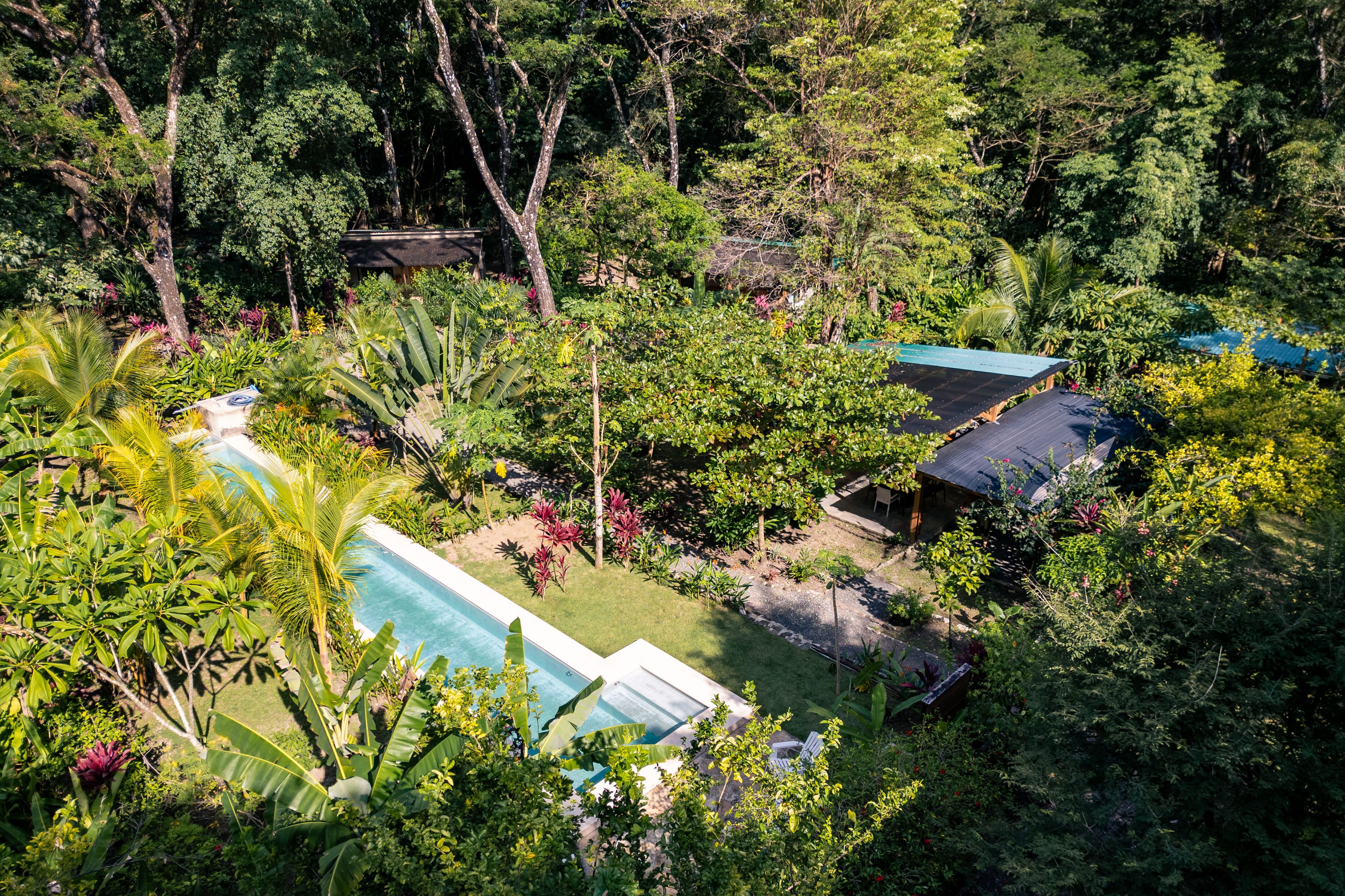 A pool area surrounded by lush greenery and multiple buildings with dark roofs.