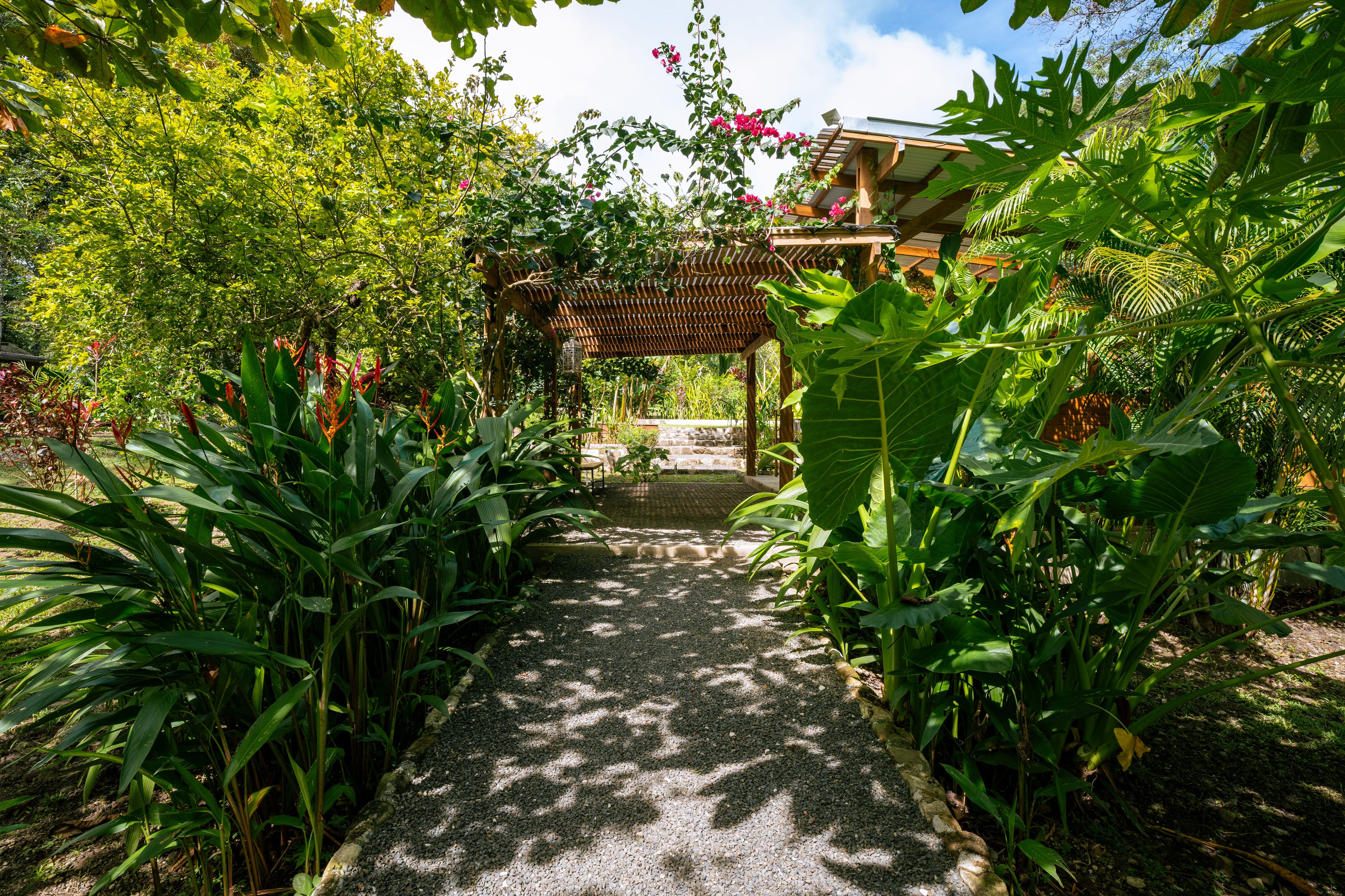 A garden pathway leading to a wooden pergola with a view of a building in the background.