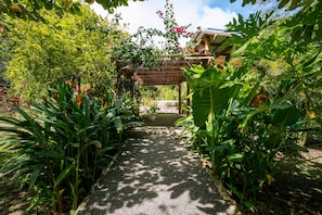 A garden pathway leading to a wooden pergola with a view of a building in the background. - Pájaros · Bright Jungle Cabin + Pool · Walk to Beach · Sleeps 3 (Cóbano)