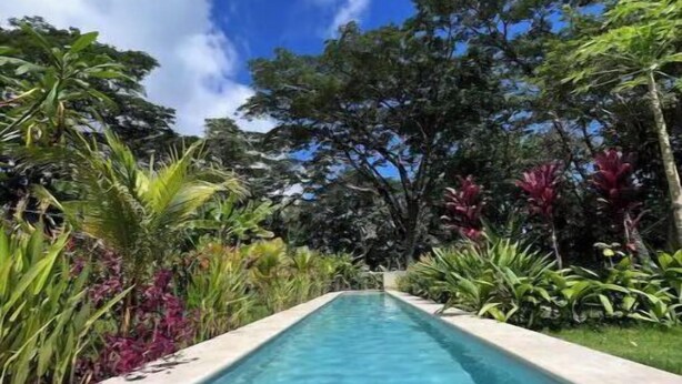A clear blue pool with a concrete edge, surrounded by lush greenery and trees. - Feeling Trees Jungle Lodge- Casa Pájaros (Provincia de Puntarenas)