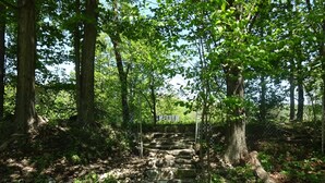 Un escalier en pierre mène à un pont de bois qui enjambe un ruisseau, le tout étant entouré d’une végétation luxuriante et d’arbres.