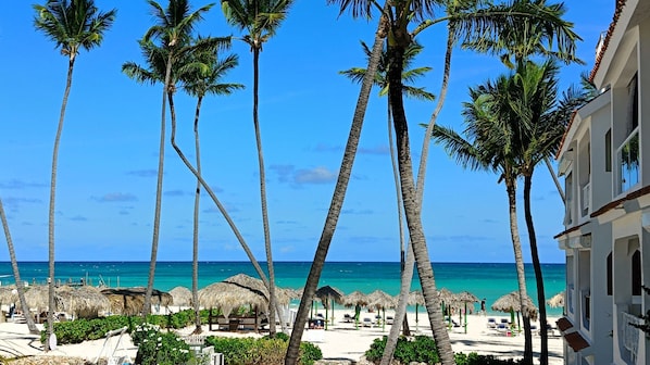 Un complejo turístico en la playa con palmeras, sombrillas de paja y vista al océano.
