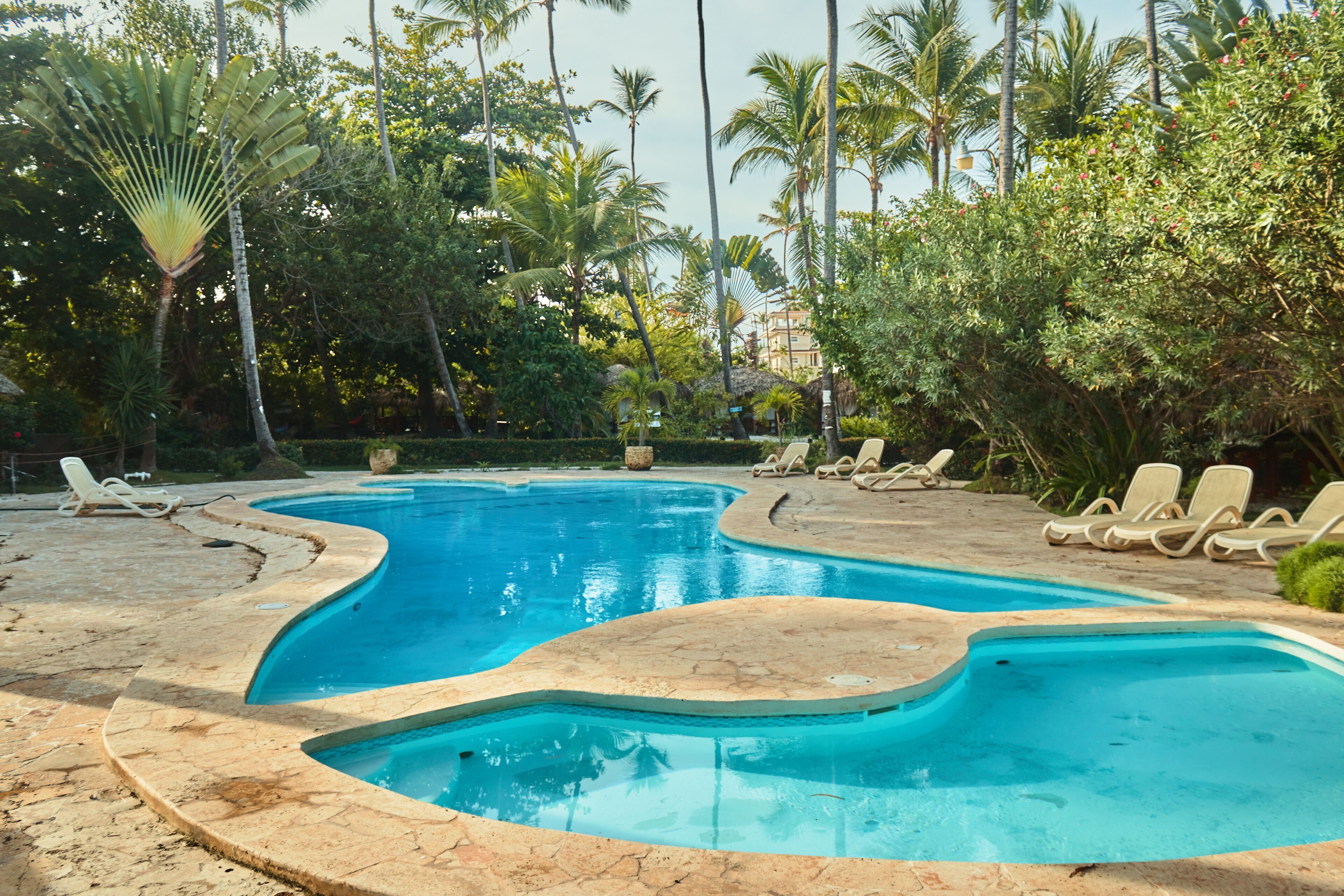 A swimming pool with a curved design, surrounded by palm trees and lounge chairs.