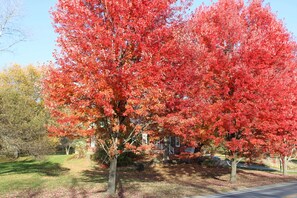 Property grounds - 1820 House Steps to Ski Shuttle, Hot Tub, Stowe (Stowe)