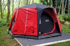 Property grounds - THE HUCKLEBERRY GLAMPSITE,
EXPERIENCE THE MAGIC! (Langley)