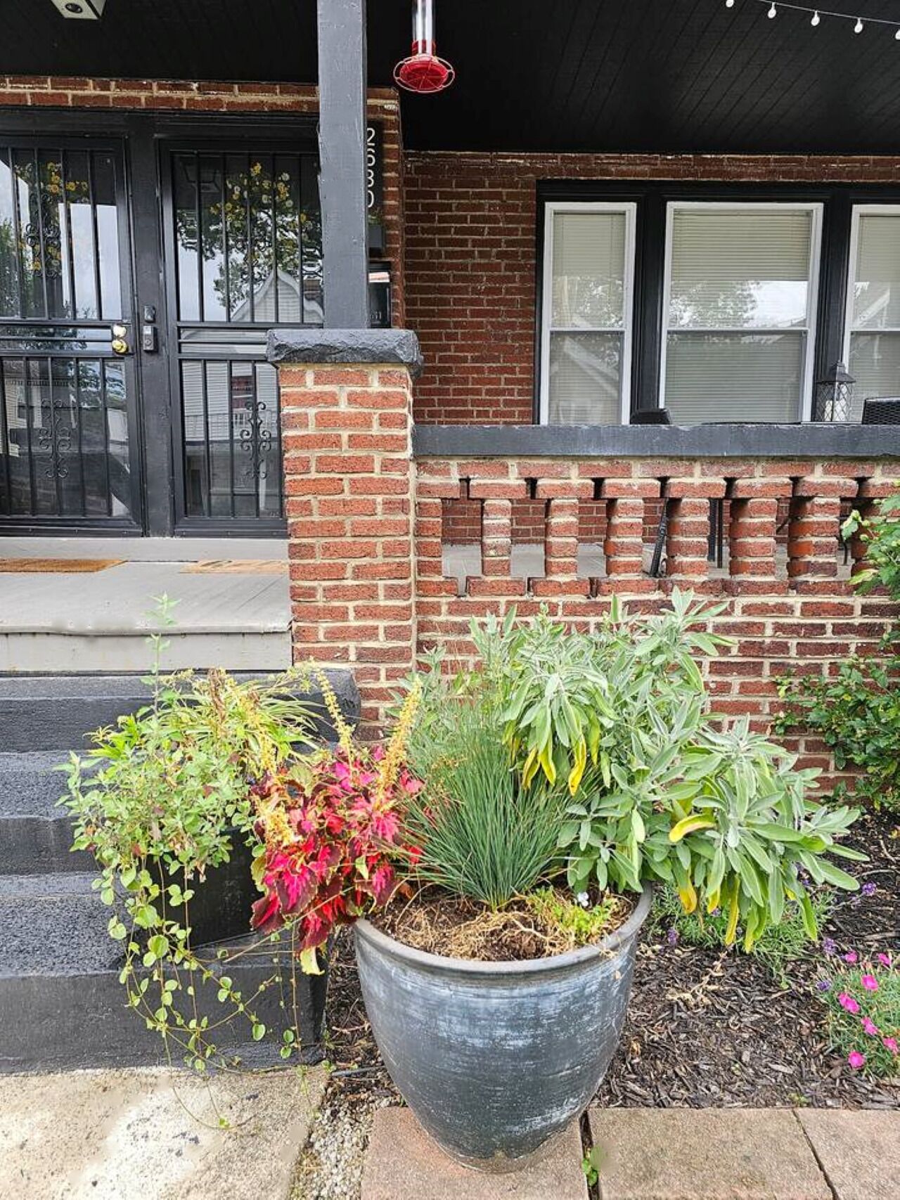 A brick building with a black metal gate, a large planter with various plants, and a string of lights above the entrance.