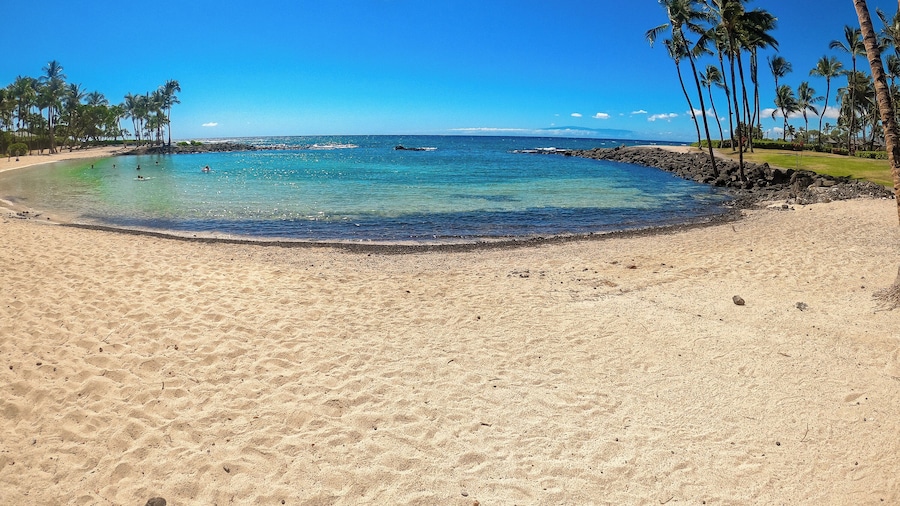 Hilton Pool Pass Included, Kolea - Walk to Beach