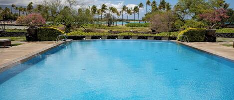 Una piscina al aire libre, sombrillas, sillones reclinables de piscina