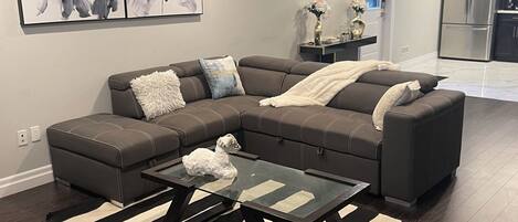 TV connectée, cheminée, jeux vidéo, livres