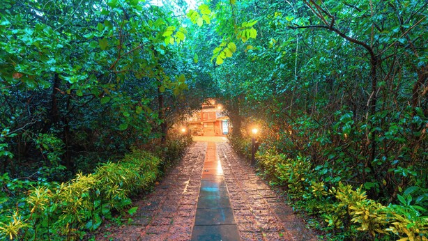 A stone pathway leading through a lush, green forested area towards a building with illuminated windows. - Treebo Rock Valley (Ponda)
