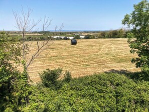 Terrain de l’hébergement 