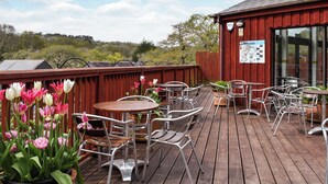 Una terraza de madera con sillas y mesas de metal, rodeada de macetas con tulipanes.