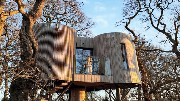 Una casa en un árbol con revestimiento de madera, construida sobre un tronco de árbol robusto, con un ventanal grande y un balconcito.