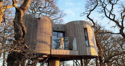 The Treehouse @ Caerlaverock - UK45028