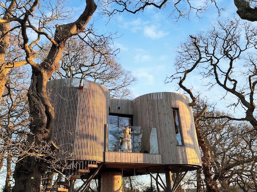 The Treehouse @ Caerlaverock - UK45028