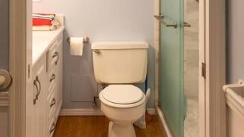 A narrow bathroom with a white toilet, a wooden floor, and a patterned rug.