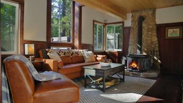 Smart TV y chimenea
