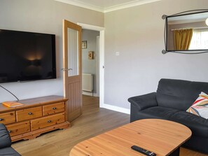 Televisor