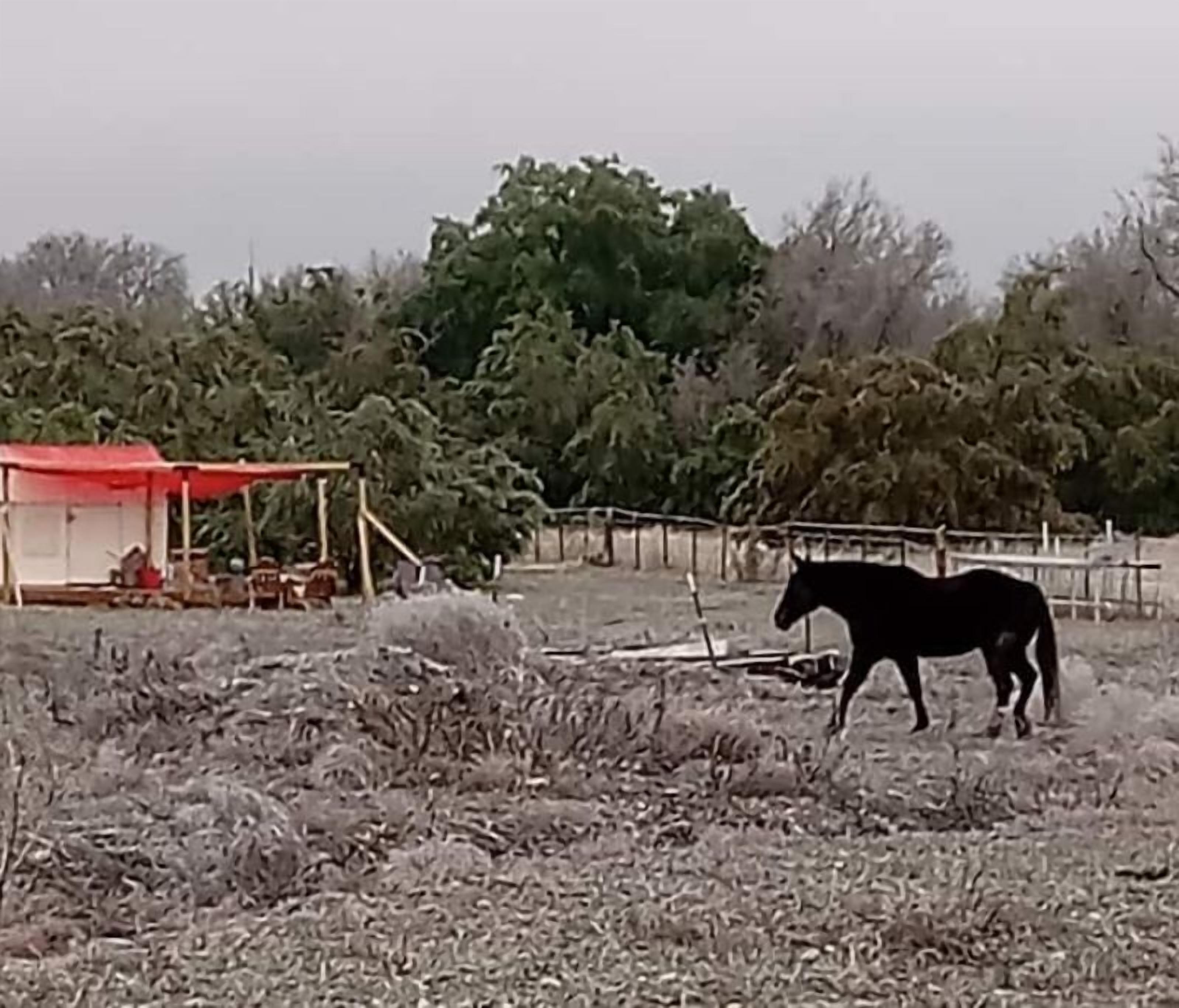 A stable with a red roof and a horse standing in the background.