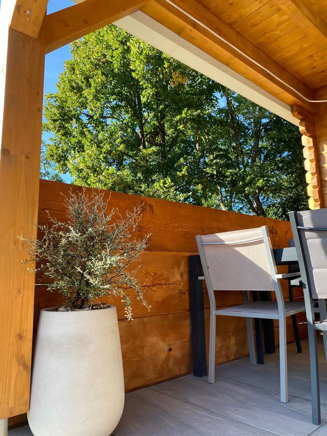 An outdoor wooden deck with a potted plant, a table, and two chairs.