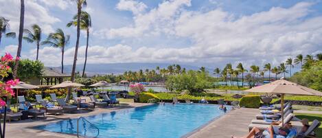 Outdoor pool, open 9:00 AM to 8:00 PM, pool umbrellas, pool loungers