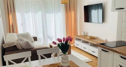 Woody apartment near center Vrnjačka Banja with free parking