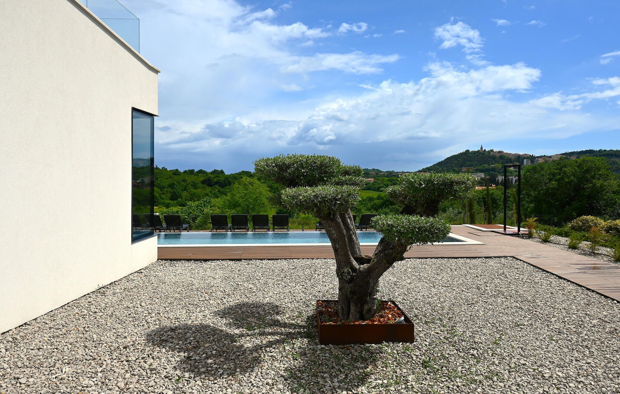 Um edifício moderno com piscina e um jardim bem cuidado, com uma árvore bonsai.