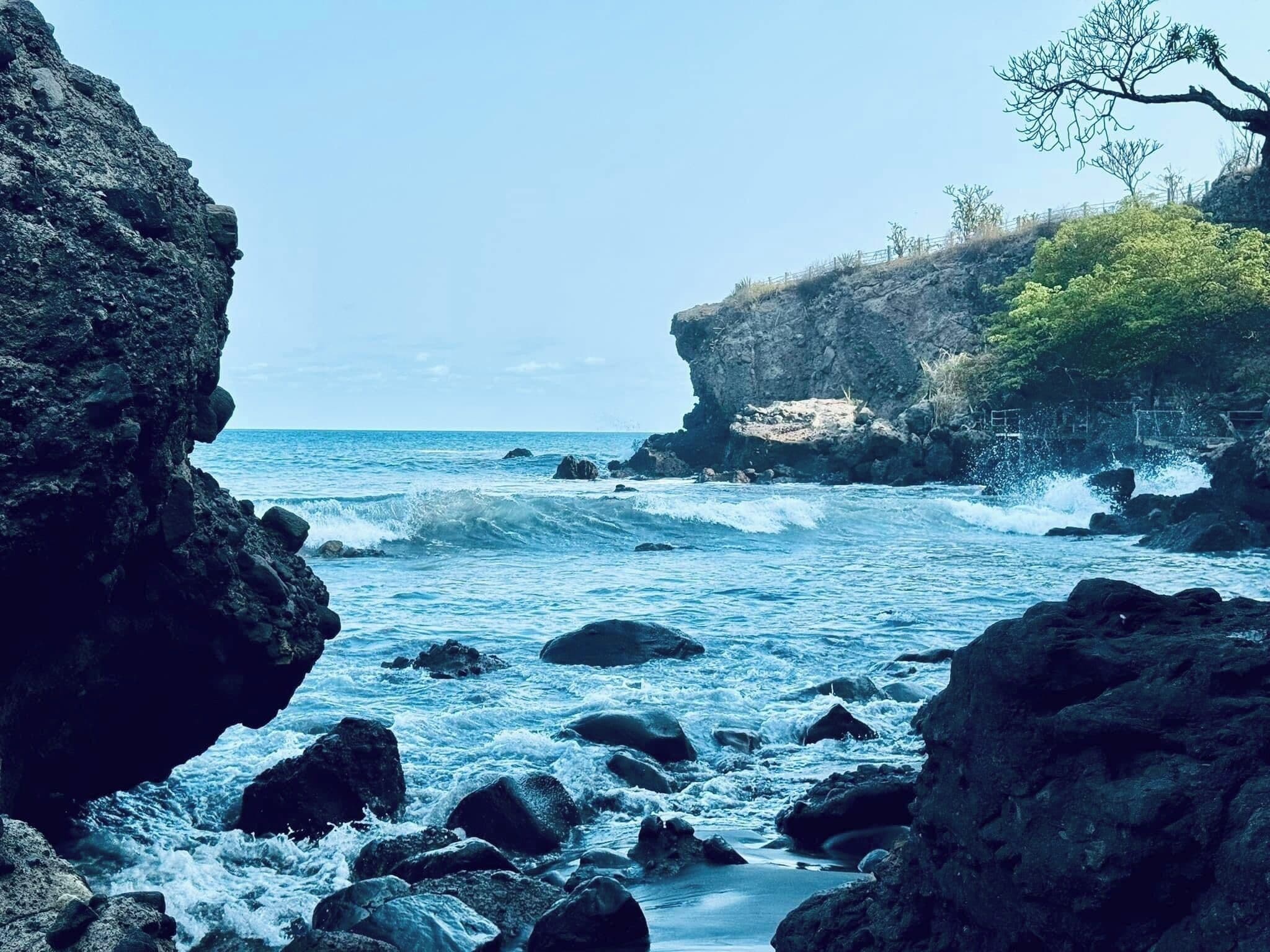 A rocky coastline with waves crashing against the shore, a clear sky, and a tree on a cliff.