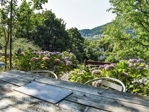 A wooden bench with a metal chair, surrounded by lush greenery and purple flowers. - 1 bedroom accommodation in Tremadog, near Porthmadog (Tremadog, near Porthmadog)