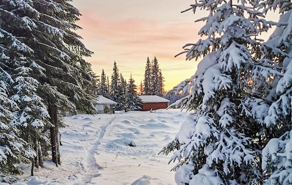 Property grounds - Amazing home in Hønefoss with WiFi (Hønefoss)