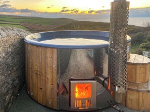 A wood-burning stove with a glass enclosure, set against a scenic coastal backdrop.