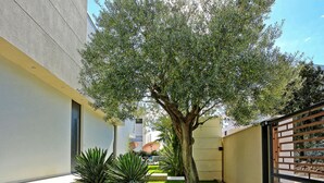 Property grounds - Gorgeous home in Petrcane (Petrcane)
