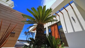 Un bâtiment moderne avec un palmier devant.