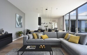 TV, fireplace, table tennis