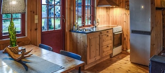3 bedroom stunning home in Rjukan